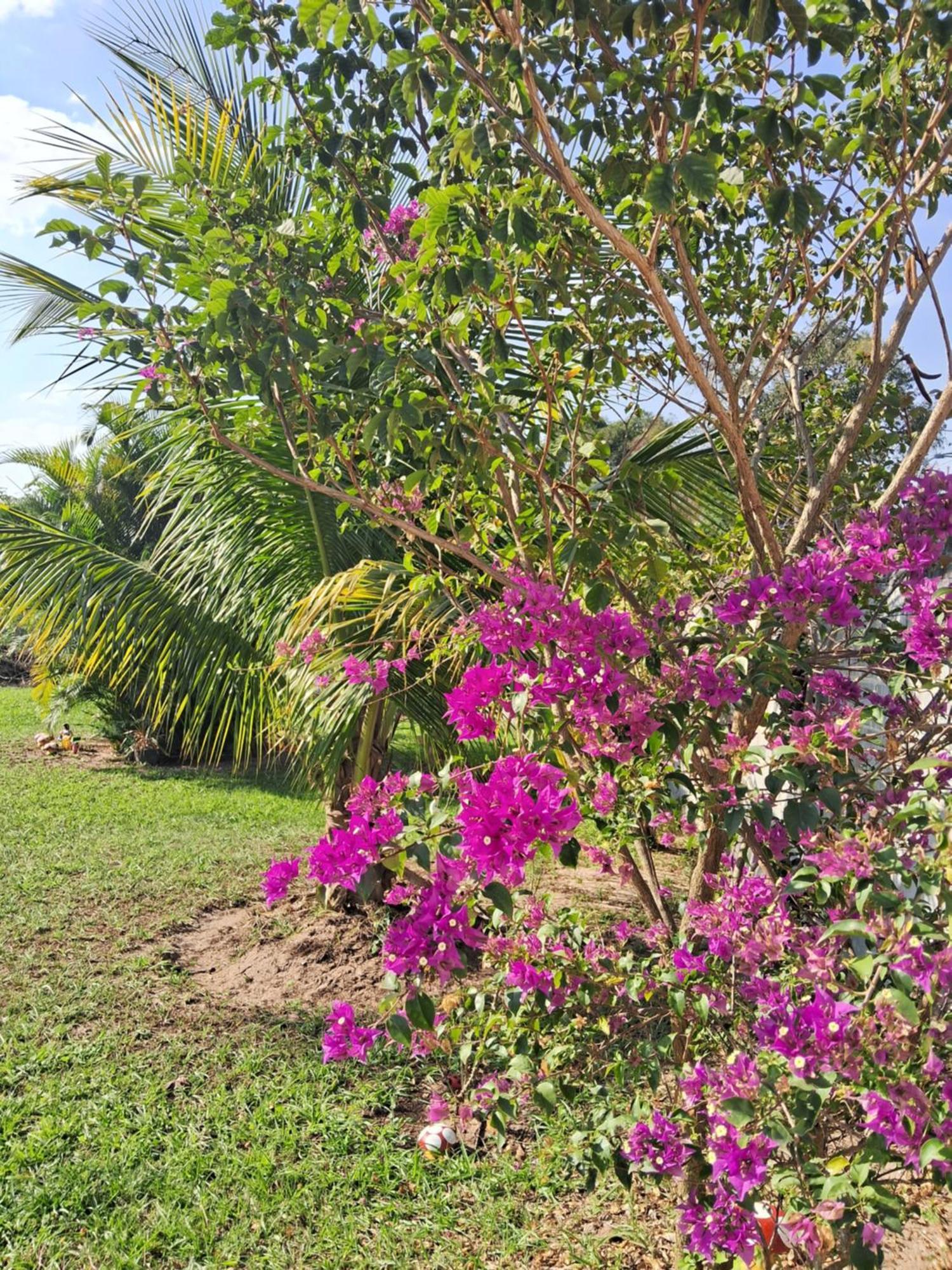 Vila Pouso Zen Araruama Exteriér fotografie